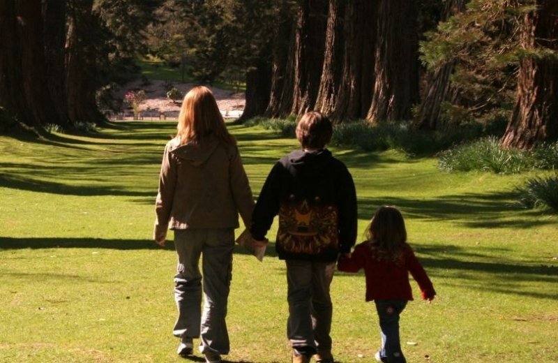 National park Drentsche Aa