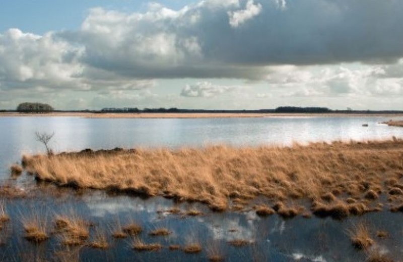 National park Dwingelderveld