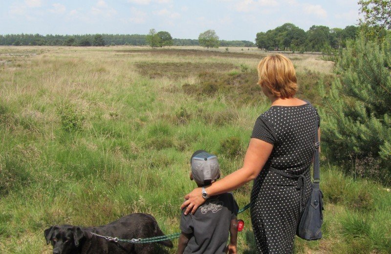 Dogs allowed in the campground!