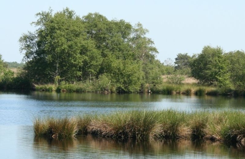 National Park Weerribben-Wieden